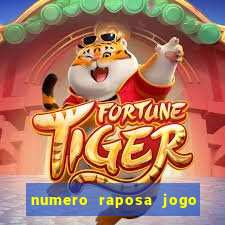 numero raposa jogo do bicho